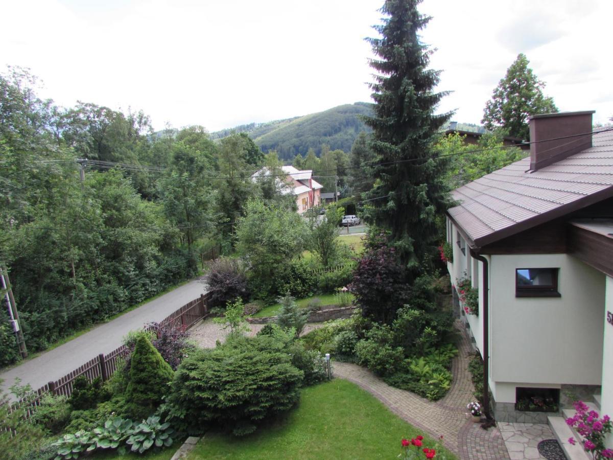 Villa Dum U Rybnika Nydek Esterno foto