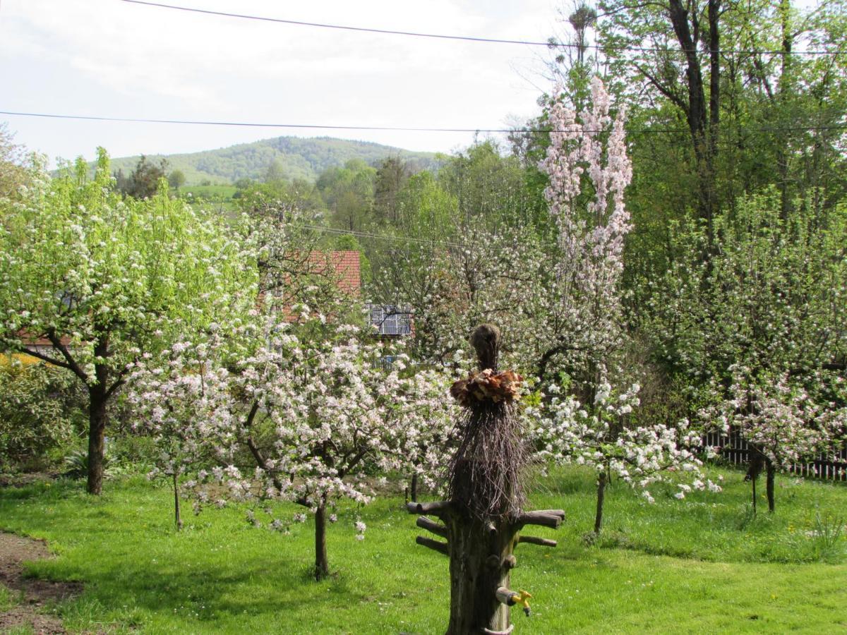 Villa Dum U Rybnika Nydek Esterno foto