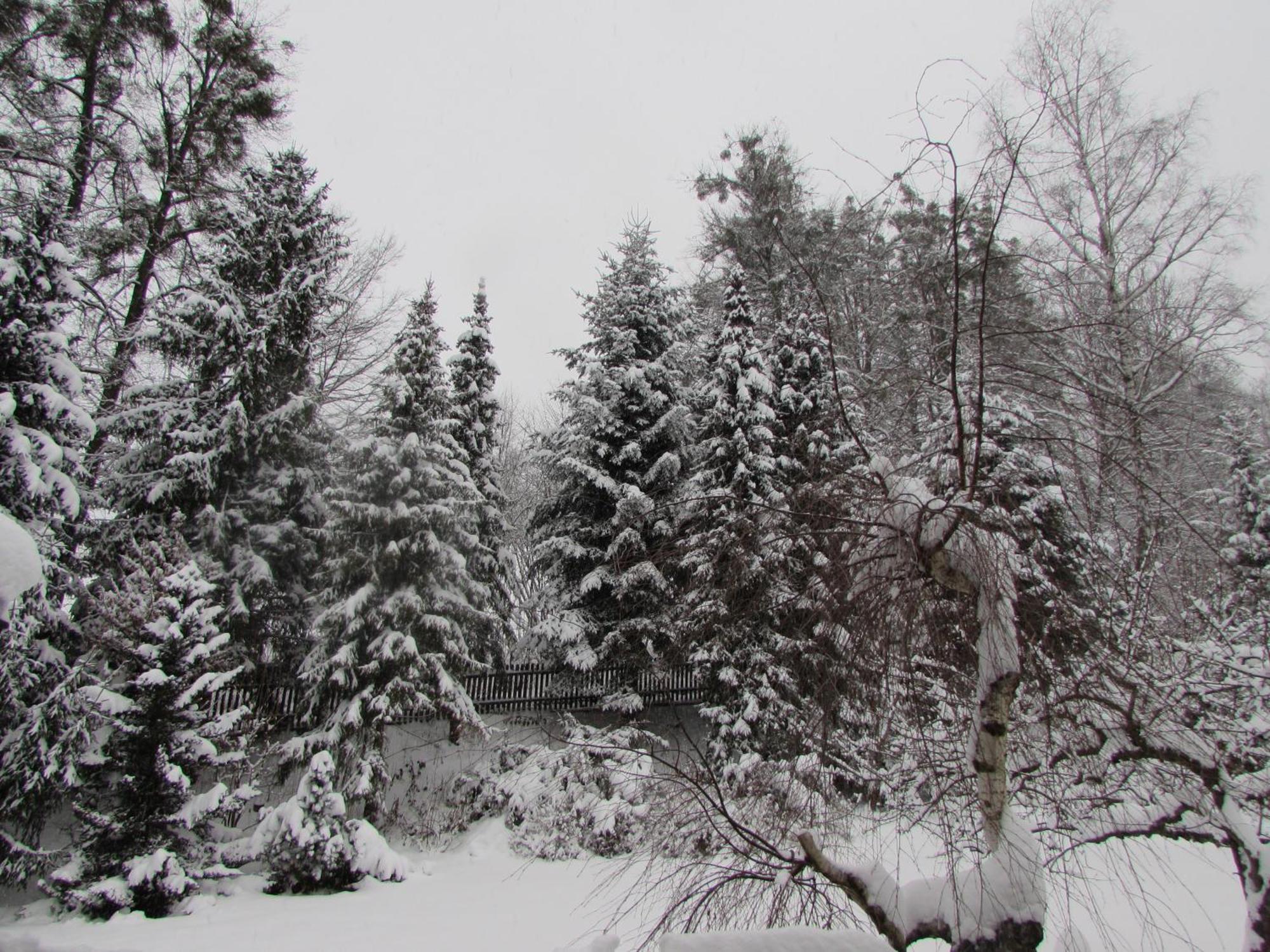Villa Dum U Rybnika Nydek Esterno foto